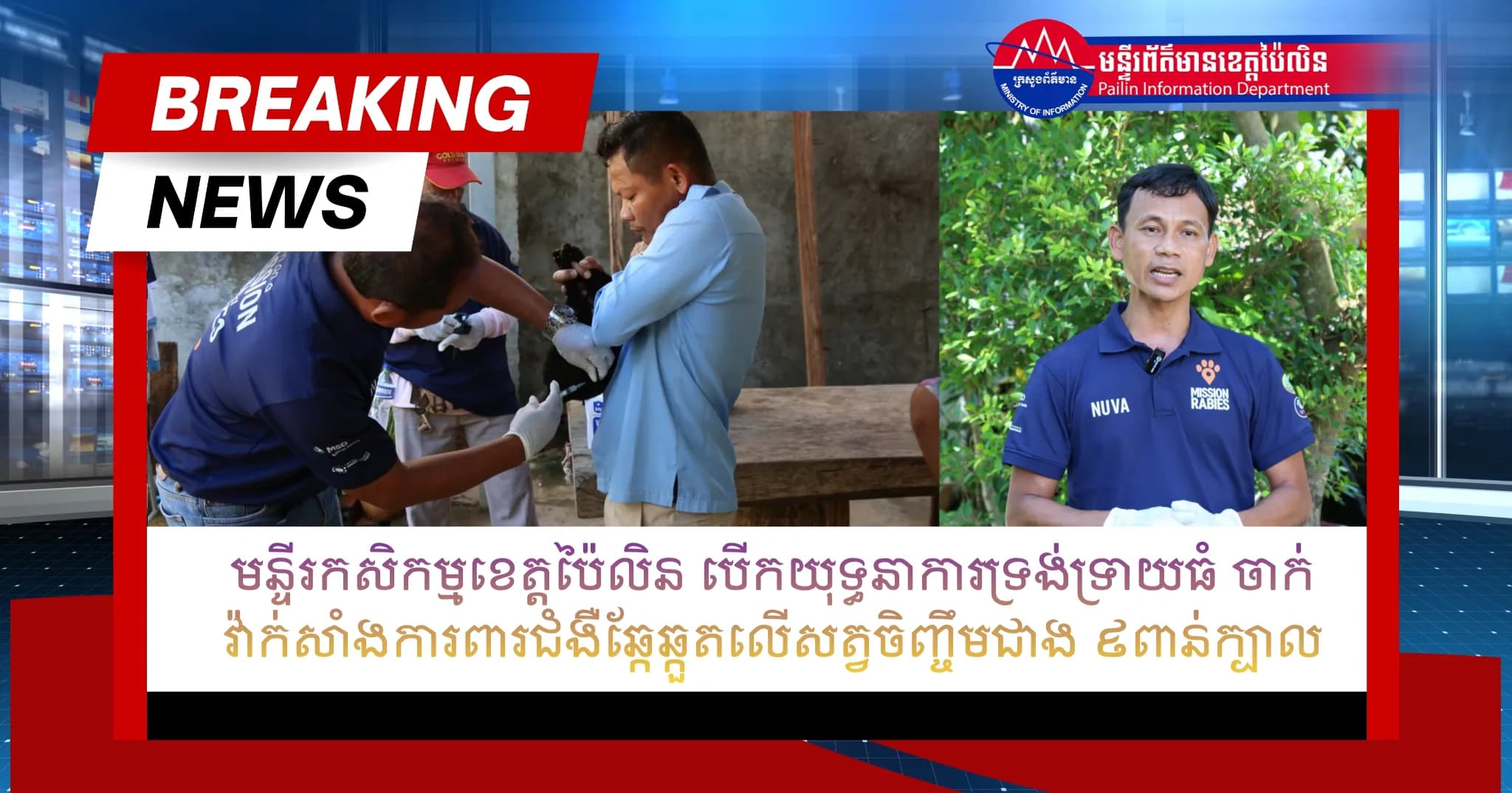 មន្ទីរកសិកម្មខេត្តប៉ៃលិន បើកយុទ្ធនាការទ្រង់ទ្រាយធំ ចាក់វ៉ាក់សាំងការពារជំងឺឆ្កែឆ្កួតលើសត្វចិញ្ចឹមជាង ៩ពាន់ក្បាល
